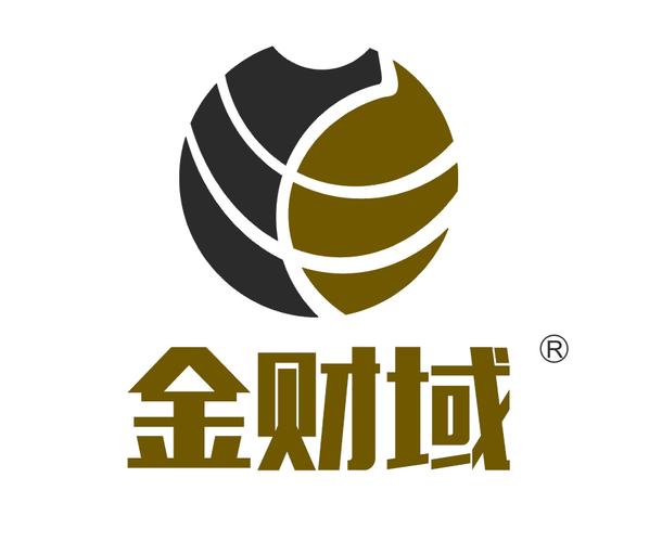 广州金财域科技